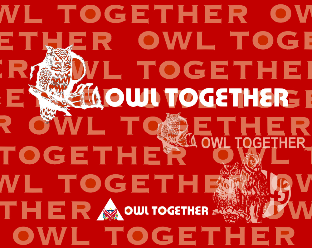 owl002